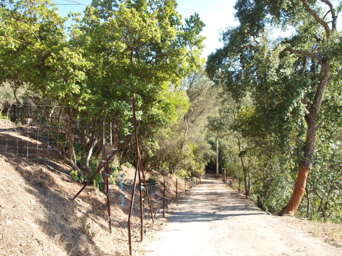 קורדובה Casa Rural Trigueros מראה חיצוני תמונה